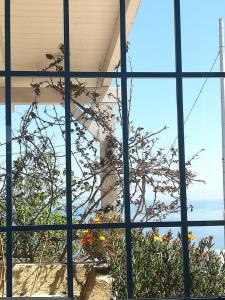 une fenêtre avec vue sur une plante dans l'établissement Azzurrosalento, à Marina Serra
