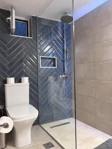 uma casa de banho com um WC e uma cabina de duche em vidro. em Sea-front Cozy Apartment em Elounda
