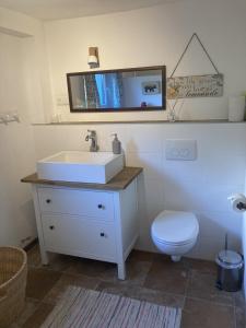 a bathroom with a sink and a toilet and a mirror at Ferienwohnung am Waldrand mit Sauna in Biendorf