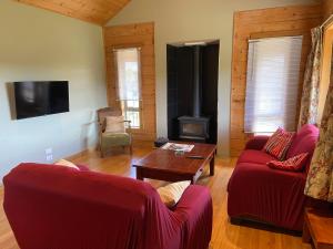 基督城的住宿－The Log Cottage，客厅配有2张红色沙发和燃木炉