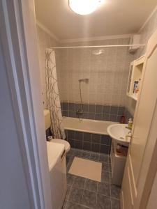 a bathroom with a toilet and a sink at Elisabeth7 Apartment in Budapest