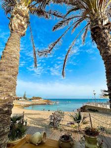 a dog laying on a beach next to a palm tree at Villamare in Custonaci