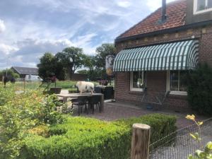 a house with a patio with a table and animals on it at Slapen bij de Brug in Zuidveld