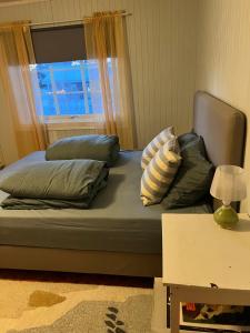 ein Bett mit Kissen und ein Fenster in einem Zimmer in der Unterkunft Familievennlig bolig i Trysil in Valmen