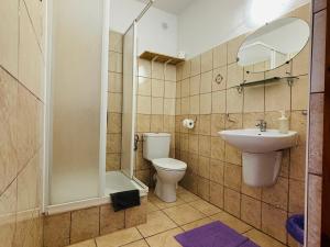 a bathroom with a toilet and a sink and a shower at Willa Przystań in Jastarnia +112 photos