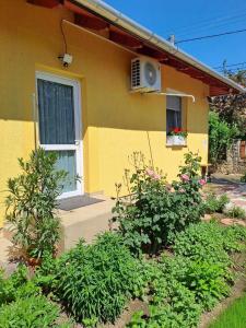 Lena apartment - Lena two bedroom apartment外面的花园