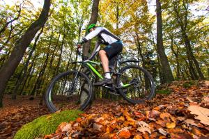 a man riding a bike in the woods at Slapen bij de Brug in Zuidveld
