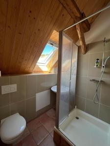 uma casa de banho com um WC e uma cabina de duche em vidro. em Gästewohnung auf dem Heilandhof 