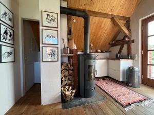 a kitchen with a wood stove in a room at Gästewohnung auf dem Heilandhof 