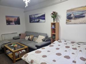 salon z łóżkiem i kanapą w obiekcie Penzion Tomy1 w mieście Horní Planá