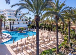 an image of a resort with chairs and palm trees at VIVA Eden Lago in Port d'Alcudia