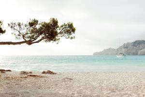 カプデペラにあるPredi Son Jaumell Hotel Ruralの海上の木