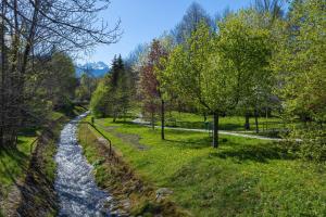a river in the middle of a field with trees at Rent like home - Sienkiewicza in Zakopane