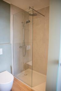 a shower with a glass door next to a toilet at Hotel Seeblick in Thülsfeld