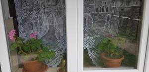 two potted plants sitting on a window with a curtain at Casa Eby in Vidolm