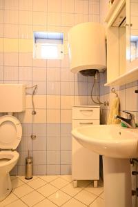 ein Bad mit einem WC und einem Waschbecken in der Unterkunft Martina in Cetinje