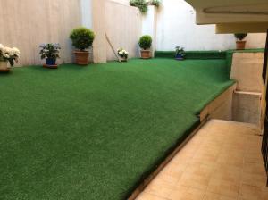 a green carpeted floor in a room with potted plants at Yilmaz Apart in Istanbul