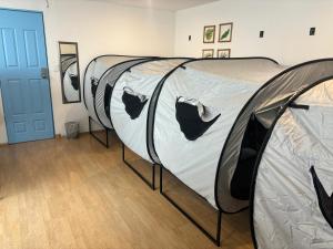 Zimmer mit 2 großen Betten in einem Zimmer in der Unterkunft bnb2night Polanco-Metro in Mexiko-Stadt