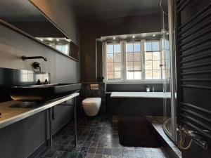 une salle de bain avec un lavabo, des toilettes et une douche dans l'établissement L'Arsenal - Appartement Centre ville - Poche commerces & restaurant - 6 P, à Sélestat 31 autres photos
