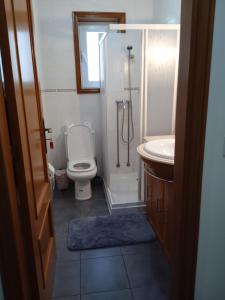 a bathroom with a shower and a toilet and a sink at Porto Cruz House in Vila Nova de Gaia