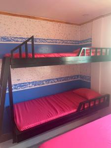 2 Etagenbetten in einem Zimmer mit roter Bettwäsche in der Unterkunft ALERTA ROOFTOP LODGE in Magdiwang
