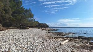 a rocky beach with trees and the water at Seaside Cottage Barbariga in Peroj