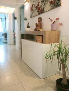 a kitchen with white cabinets and a potted plant at Appartamento a 50 mt dal mare in Rosignano Solvay