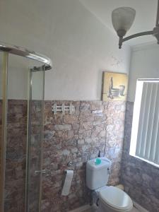 W łazience znajduje się toaleta i przeszklony prysznic. w obiekcie Breaking Dawn w mieście Noupoort