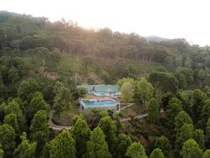 eine Luftansicht eines Hauses inmitten eines Waldes in der Unterkunft Simpson's Forest Hotel in Kandy