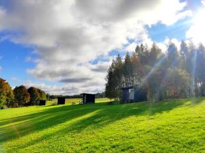 a green field with trees andsheds in the background at Atpūtas vieta Ežezers in Andzeļi