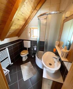 a bathroom with a sink and a toilet and a shower at Vila Boska Palic in Palić