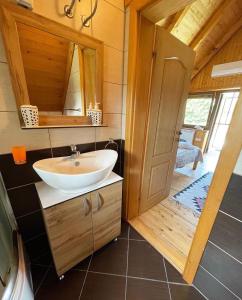 a bathroom with a sink and a mirror at Vila Boska Palic in Palić
