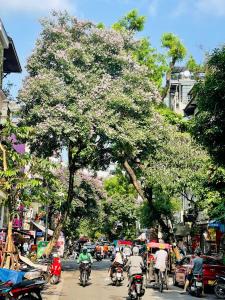 a group of people riding motorcycles down a street with a tree at Old Building 1939 in Hanoi