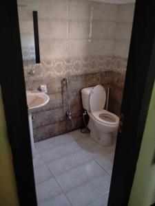 a bathroom with a toilet and a sink at Peridot Vacation Inn, Bahria in Mingora