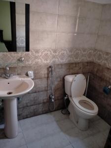 a bathroom with a toilet and a sink at Peridot Vacation Inn, Bahria in Mingāora