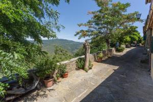 einen Steinweg mit Pflanzen und Bäumen auf einem Hügel in der Unterkunft Deliziosa casetta in centro! in Cortona