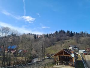 a small house on the side of a hill at Pensiunea WhiteRiver Adults Only-Self check-in in Câmpulung Moldovenesc