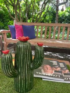 un cactus verde sentado frente a un banco en Hotel Colombia, en Milán