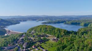 an aerial view of a lake with trees and houses at Noclegi - Karczma Solina in Solina