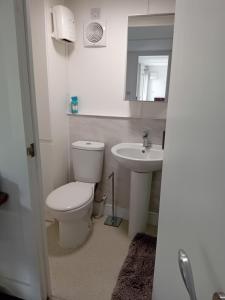 a bathroom with a toilet and a sink at Private Self Contained Annex/Cabin in Birmingham