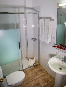 uma casa de banho com um chuveiro, um WC e um lavatório. em Hotel Aeropuerto Sur em San Isidro