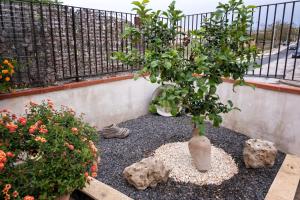 Zahrada ubytování Villa Rea comfort e relax