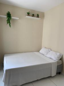 a bedroom with a bed with two plants on the wall at Apto Aconchegante - 600m da Pç Mestre Dominguinhos in Garanhuns