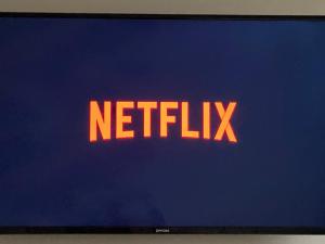 einen Laptop-Bildschirm mit dem Netflix-Logo darauf in der Unterkunft Antoinettes Ferienwohnung in Ilmenau