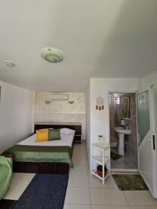a bedroom with a bed and a shower and a sink at Vilele Bianca in 2 Mai