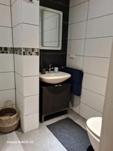 a bathroom with a sink and a mirror at Lilias Ruheoase in Pfungstadt