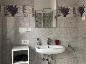 y baño con lavabo y espejo. en Villa Acernis, en Postojna