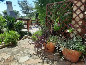 Zahrada ubytování Villa Lavanda