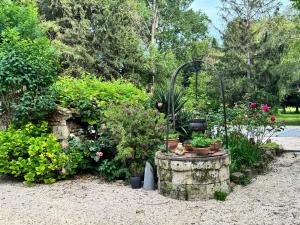 einen Garten mit einem Haufen Blumen und Pflanzen in der Unterkunft MAZET en CAMPAGNE in Arles