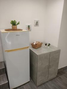 un frigorifero bianco e un bancone con piante in cima di CASA VACANZE AURORA a Ortona